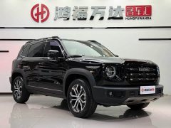 Haval Big Dog 1.5T DCT two-wheel drive Border Collie version - фото 3