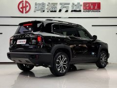 Haval Big Dog 1.5T DCT two-wheel drive Border Collie version - фото 4