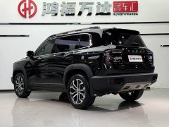 Haval Big Dog 1.5T DCT two-wheel drive Border Collie version - фото 6