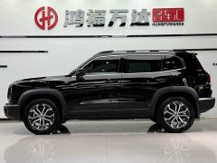 Haval Big Dog 1.5T DCT two-wheel drive Border Collie version - фото 7