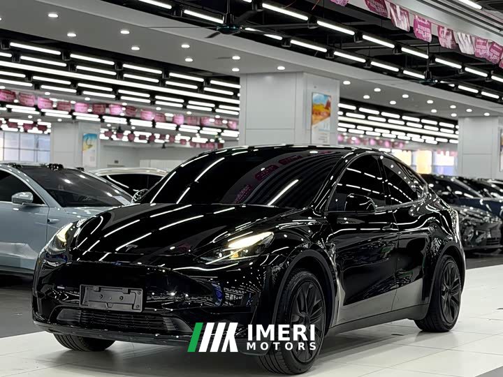 Tesla Model Y rear-wheel drive version - автомобиль из Китая