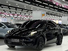Tesla Model Y rear-wheel drive version - фото 1