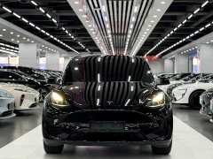Tesla Model Y rear-wheel drive version - фото 2