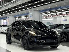 Tesla Model Y rear-wheel drive version - фото 3