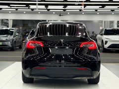 Tesla Model Y rear-wheel drive version - фото 5