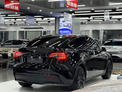 Tesla Model Y rear-wheel drive version - фото 6