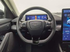 Ford Electric Horse 2021 Borderless Rear-Drive Deluxe Edition (Long Range) - фото 11