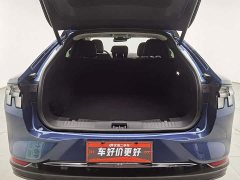 Ford Electric Horse 2021 Borderless Rear-Drive Deluxe Edition (Long Range) - фото 16