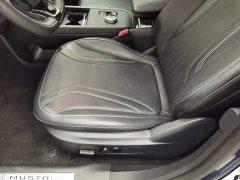 Ford Electric Horse 2021 Borderless Rear-Drive Deluxe Edition (Long Range) - фото 20