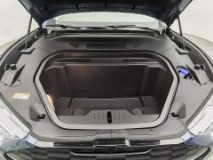 Ford Electric Horse 2021 Borderless Rear-Drive Deluxe Edition (Long Range) - фото 6