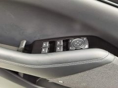 Ford Electric Horse 2021 Borderless Rear-Drive Deluxe Edition (Long Range) - фото 9