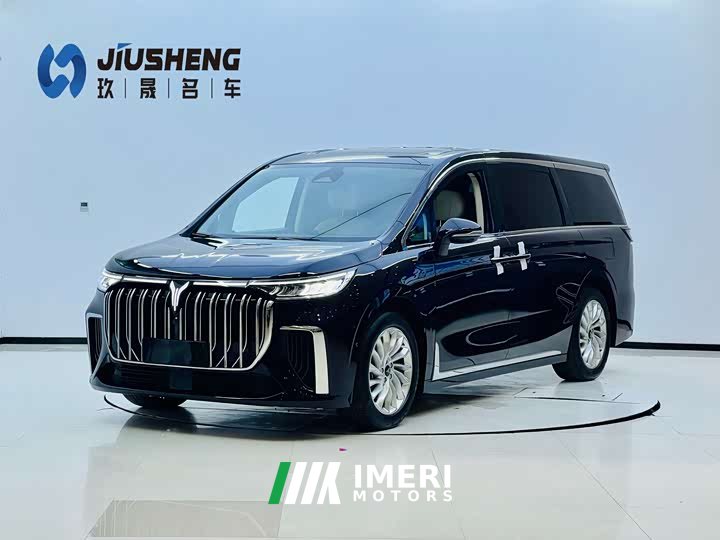 Voyah Lantu Dreamer PHEV Extra Long Range Premium Edition - автомобиль из Китая