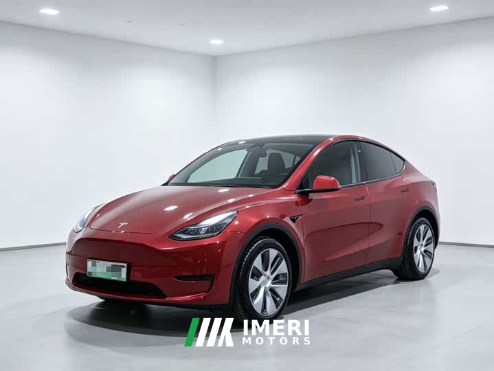 Tesla Model Y standard range rear-wheel drive version - автомобиль из Китая