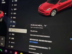 Tesla Model Y standard range rear-wheel drive version - фото 10