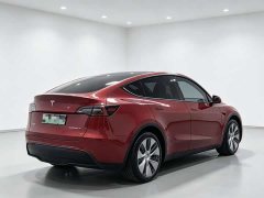 Tesla Model Y standard range rear-wheel drive version - фото 7