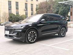 Lincoln Voyager 2.0T four-wheel drive Zunrui version - фото 2