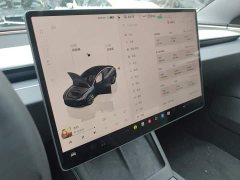 Tesla Model 3 2023 rear-wheel drive version - фото 10