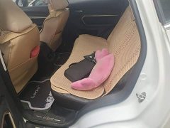 Haval H6 1.5GDIT Automatic Champion Edition - фото 13