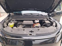 Buick Landian E5 PLUS 165km Long-Range Pioneer Edition 7-Seater - фото 16