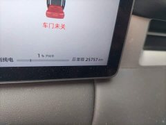 Buick Landian E5 PLUS 165km Long-Range Pioneer Edition 7-Seater - фото 8