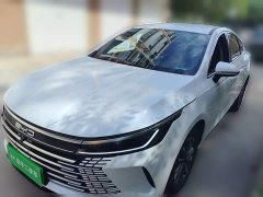 BYD Destroyer 05 Honor Edition DM-i 55KM Luxury Type - фото 1