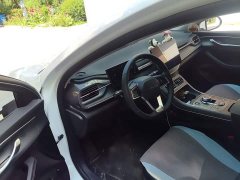 BYD Destroyer 05 Honor Edition DM-i 55KM Luxury Type - фото 12