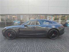 Porsche Panamera 2020 Panamera 10th Anniversary Edition 2.9T - фото 5