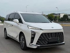Buick GL8 New Energy 2026 Lu Zun Exclusive Edition - фото 1