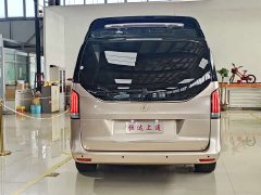 Mercedes-Benz Hengxin Zhiyuan V-Class 2.0T Shirui Qilin Edition - фото 19