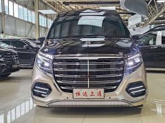 Mercedes-Benz Hengxin Zhiyuan V-Class 2.0T Shirui Qilin Edition - фото 2