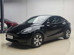 Tesla Model Y rear-wheel drive version - фото 1