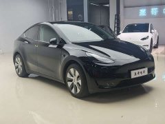 Tesla Model Y rear-wheel drive version - фото 3