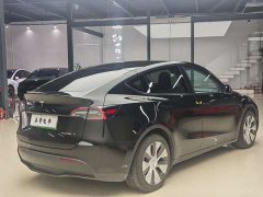 Tesla Model Y rear-wheel drive version - фото 5