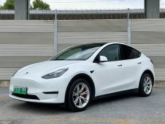 Tesla Model Y long-range all-wheel drive version - фото 1