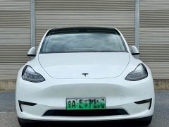 Tesla Model Y long-range all-wheel drive version - фото 2