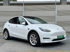 Tesla Model Y long-range all-wheel drive version - фото 3