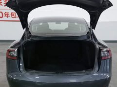 Tesla Model 3 facelift standard range rear drive upgraded version 3D1 - фото 16