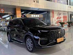 Lynk & Co Lingyu EcoBoost 225 collar type 7 seats (2/2/3) - фото 2
