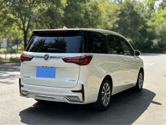 Buick GL8 ES Lu Zun 653T Exclusive - фото 14