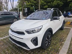 Tesla Yipao 2021 1.4L automatic fun and fashionable - фото 1
