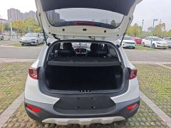 Tesla Yipao 2021 1.4L automatic fun and fashionable - фото 14