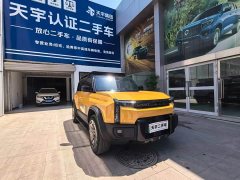 Chery Fengyun X3L 205 four-wheel drive high-energy version - фото 3