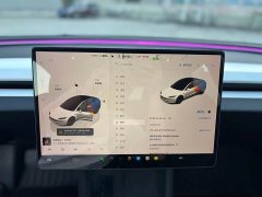 Tesla Model 3 2023 rear-wheel drive version - фото 7
