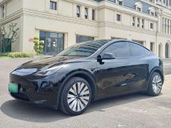 Tesla Model Y rear-wheel drive version - фото 1