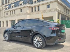 Tesla Model Y rear-wheel drive version - фото 16