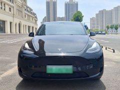 Tesla Model Y rear-wheel drive version - фото 2