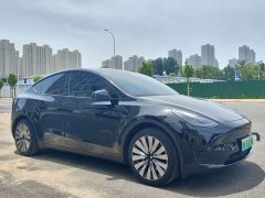 Tesla Model Y rear-wheel drive version - фото 3