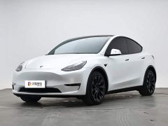 Tesla Model Y long-range all-wheel drive version 3D7 - фото 1