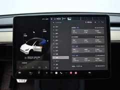 Tesla Model Y long-range all-wheel drive version 3D7 - фото 11