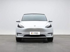 Tesla Model Y long-range all-wheel drive version 3D7 - фото 2